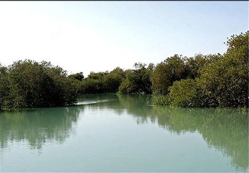 پارک ملی دریایی دیر - نخیلو بوشهر میراث فرهنگی گردشگری