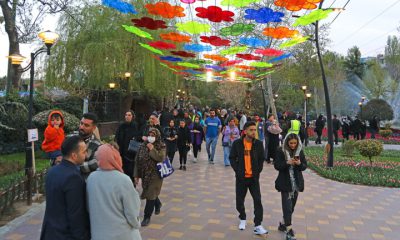 جشنواره لاله ها هزاران گردشگر را به البرز