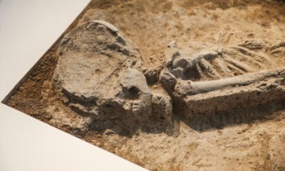 کشف اسکلت بانوی هفت‌هزارساله از خیابان مولوی تهران، باستان‌شناس میراث فرهنگی موزه