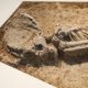کشف اسکلت بانوی هفت‌هزارساله از خیابان مولوی تهران، باستان‌شناس میراث فرهنگی موزه