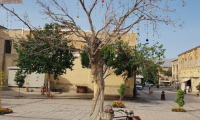درخت آرزوها بازار وکیل شیراز