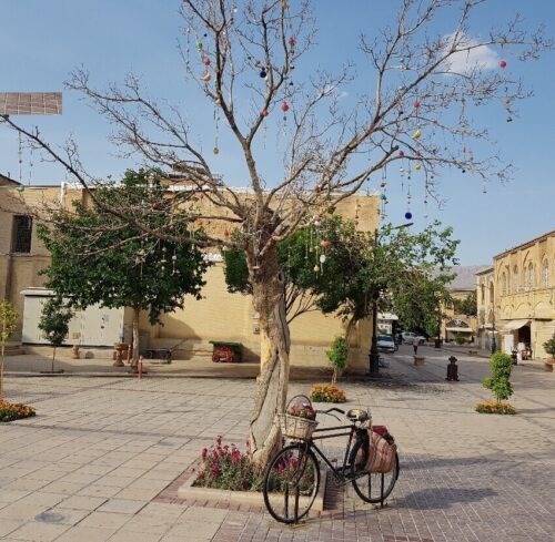 درخت آرزوها بازار وکیل شیراز